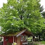 Schwarzwaldgruen *