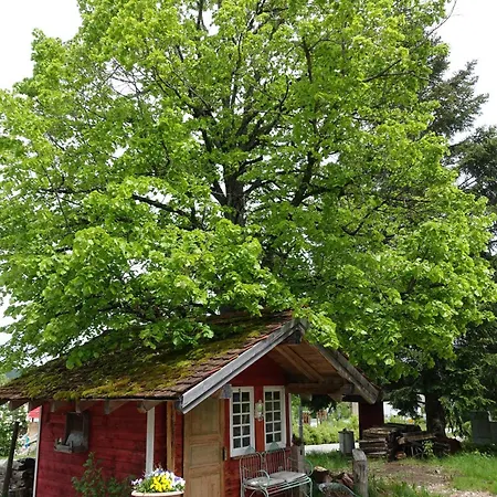 Schwarzwaldgruen *